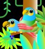 Parrots 2.jpg