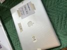 IMG_0203.jpeg